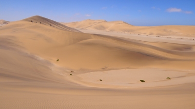 Namib Wüste Namibia (Alexander Mirschel)  Copyright 
Información sobre la licencia en 'Verificación de las fuentes de la imagen'